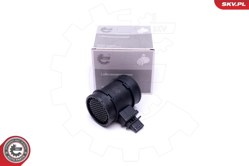 Mass Air Flow Sensor